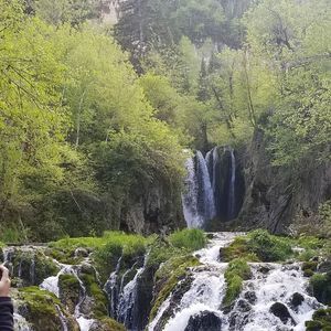 Meet your Posher, Tim